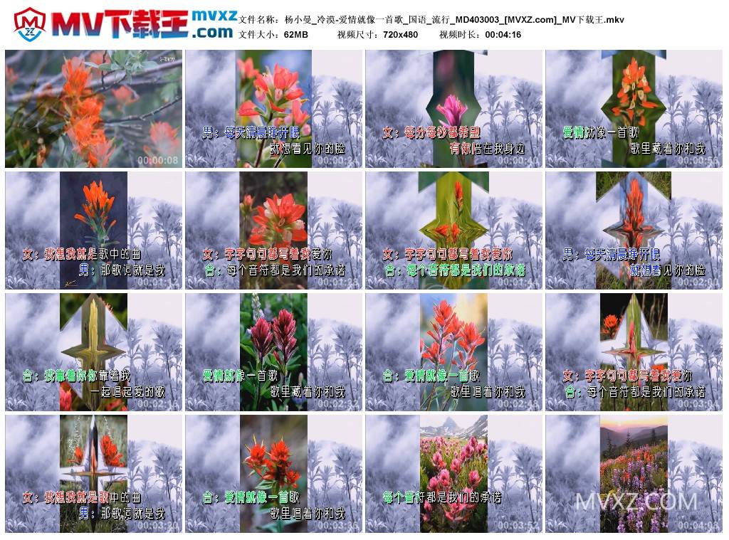 杨小曼_冷漠-爱情就像一首歌_国语_流行_MD403003